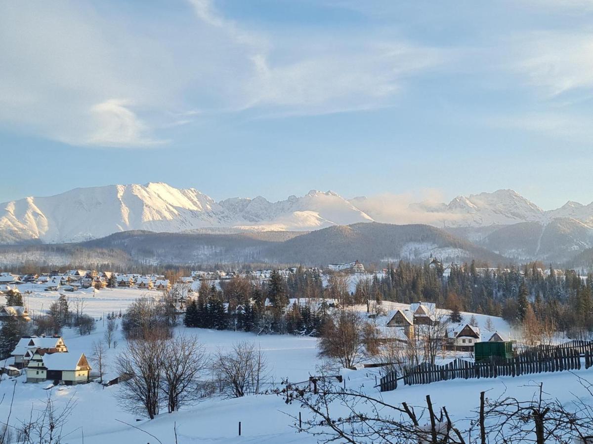 Villa Dorota Zakopane Ngoại thất bức ảnh